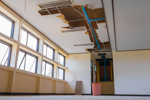Best Water damage restoration near me  in Buffalo Grove, IL