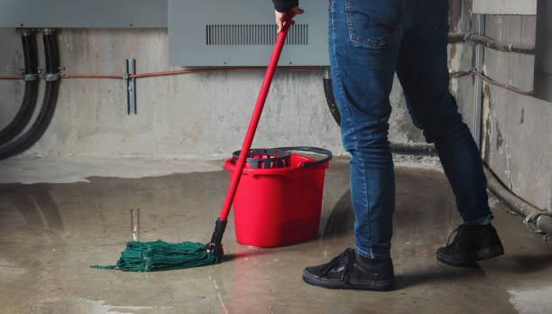 Best Sewage cleanup and water damage restoration  in Buffalo Grove, IL