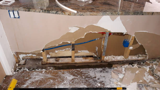 Best 24-hour water damage restoration  in Buffalo Grove, IL