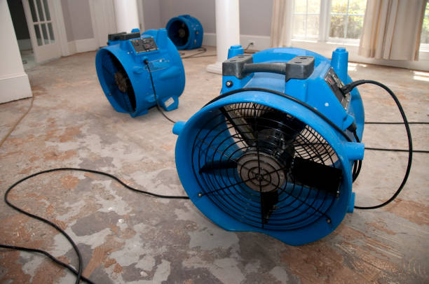 Best Local water damage restoration  in Buffalo Grove, IL