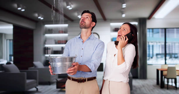 Best Ceiling water damage repair  in Buffalo Grove, IL